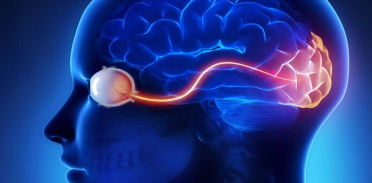neuro-ophthalmology