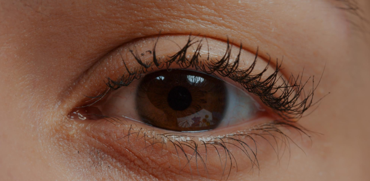 retina