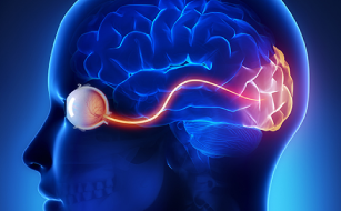 Eye Hospital in Thrissur
